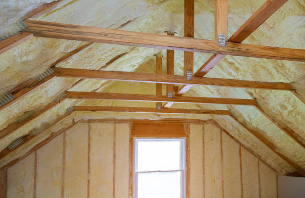 Best Geographic-Specific Insulation Services in Blue Ridge, TX
