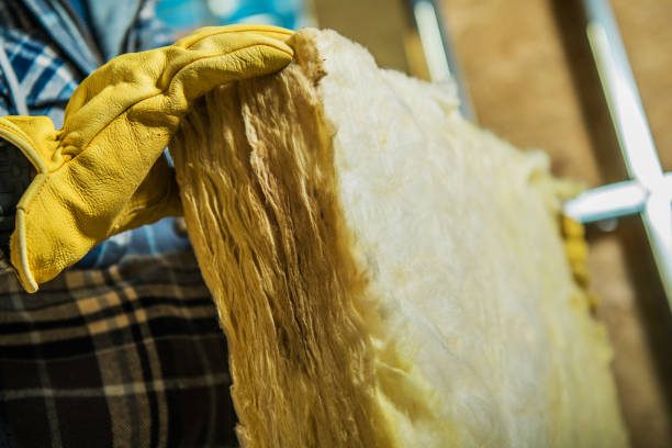 Best Insulation Maintenance and Repair in Blue Ridge, TX
