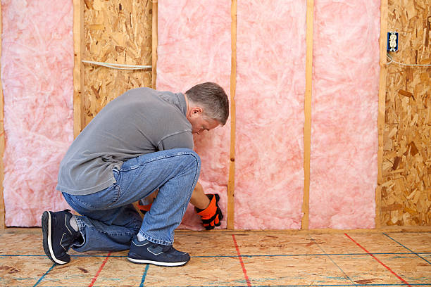 Best Energy Efficiency Insulation in Blue Ridge, TX
