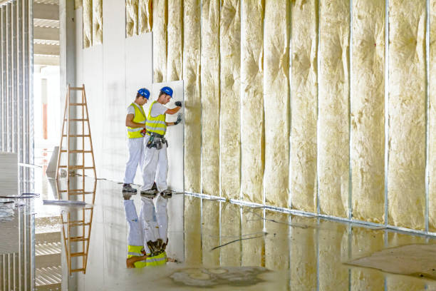 Best Eco-Friendly Insulation in Blue Ridge, TX